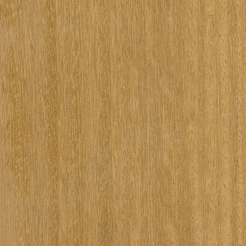 Iroko wood F.Jammes